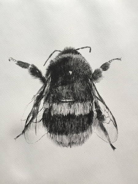 Bee Etching