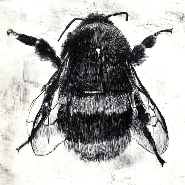 Bee Etching