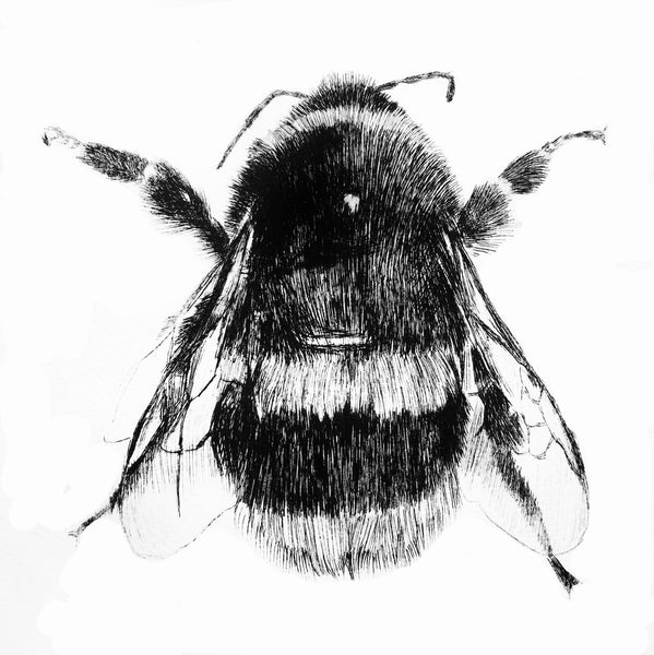 Bee Etching